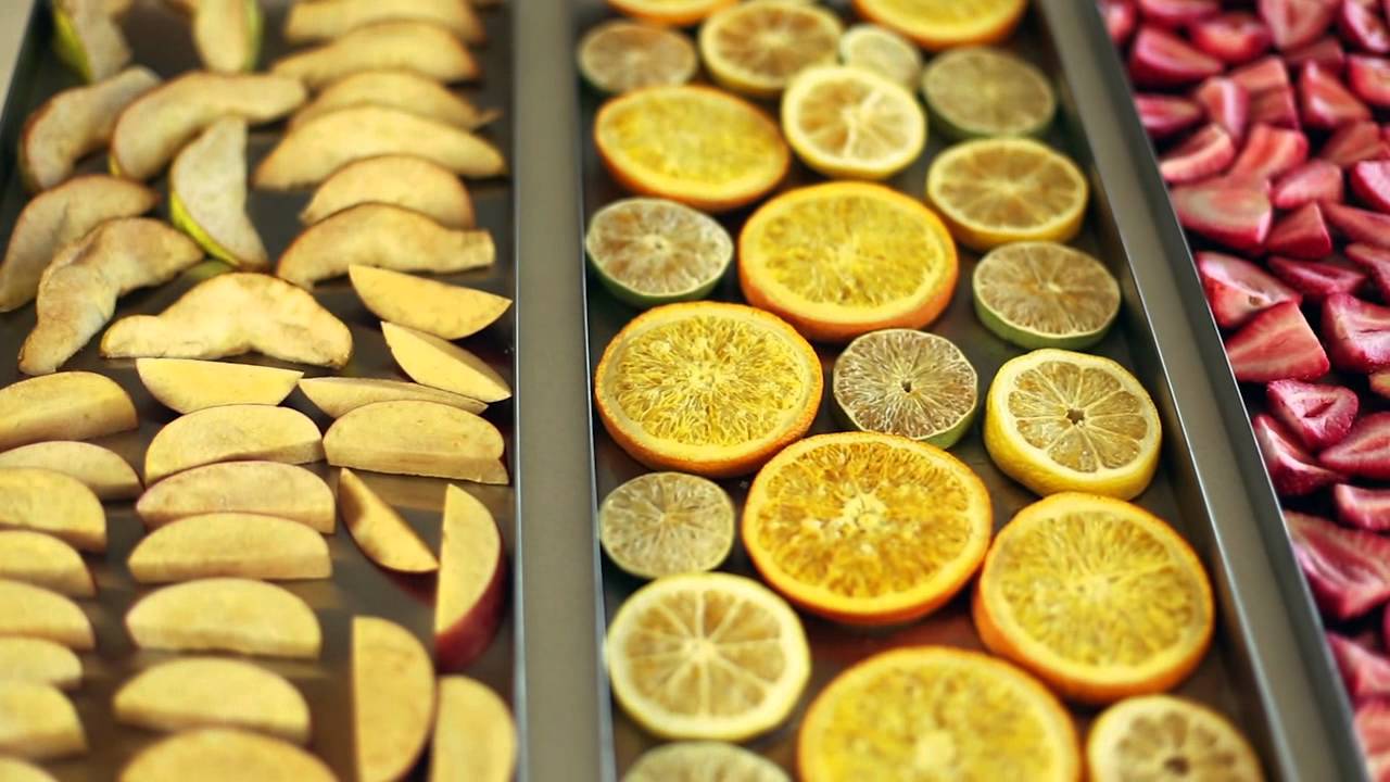 How to Freeze Dry Foods at Home