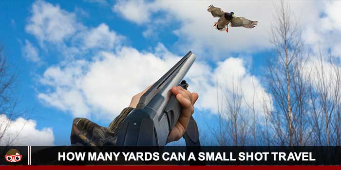 How Many Yards Can Small Shot Travel